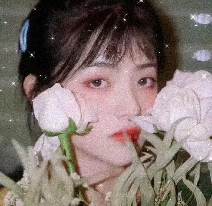 剑姬神圣谭