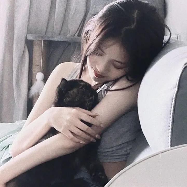 倩狐之妖乱青华